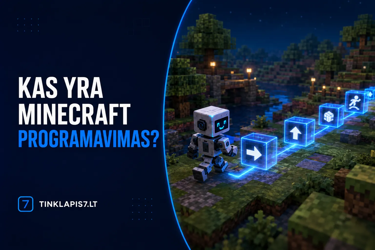 Kas yra Minecraft programavimas